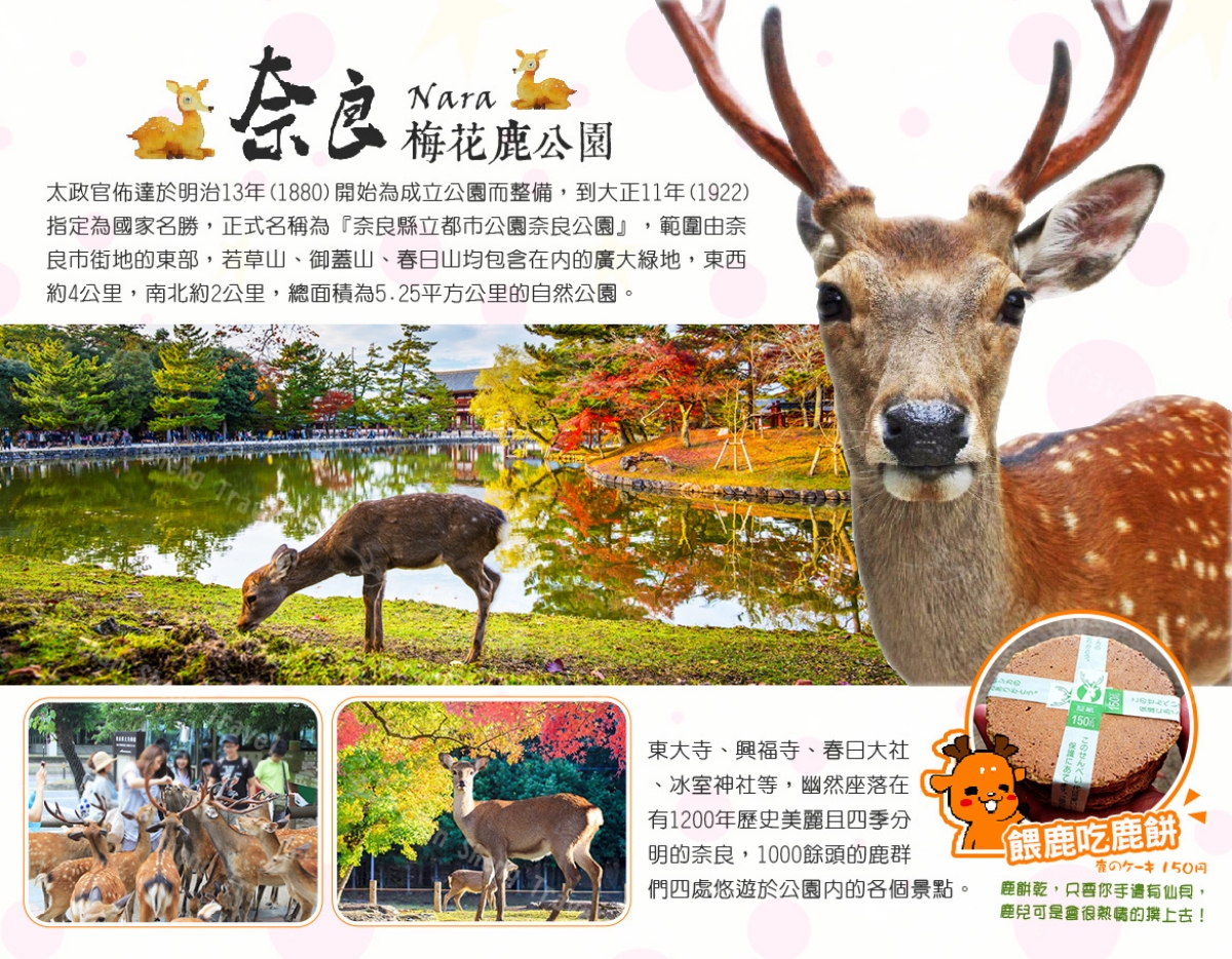 行程特色圖片