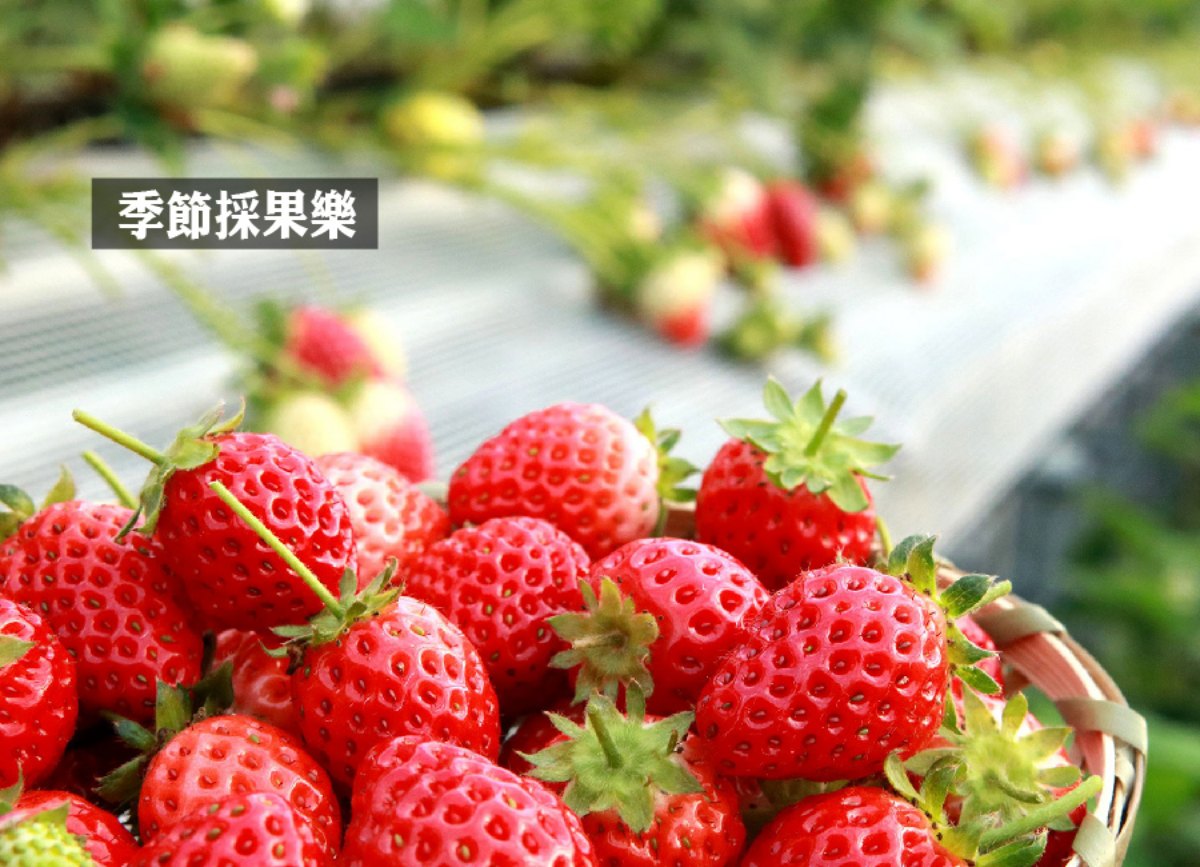 行程特色圖片